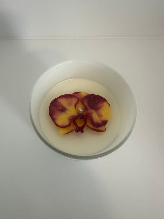 Tropical Orchid  Soy Candle 10oz